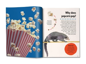britannica first big book of why - Ảnh 5