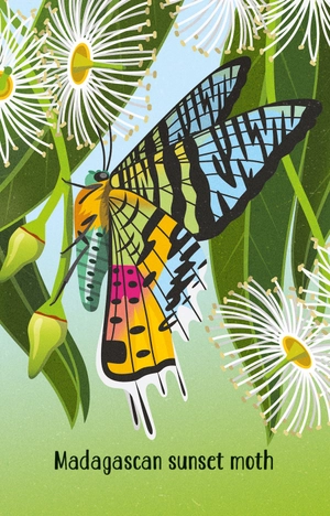 bugs snap - Ảnh 3