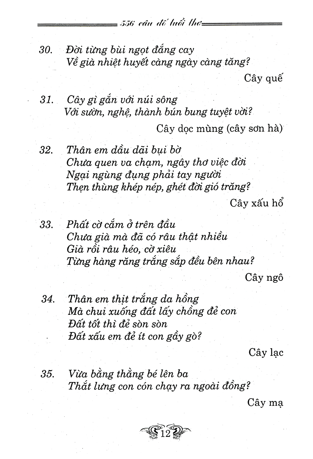 câu đố tuổi thơ - Ảnh 9