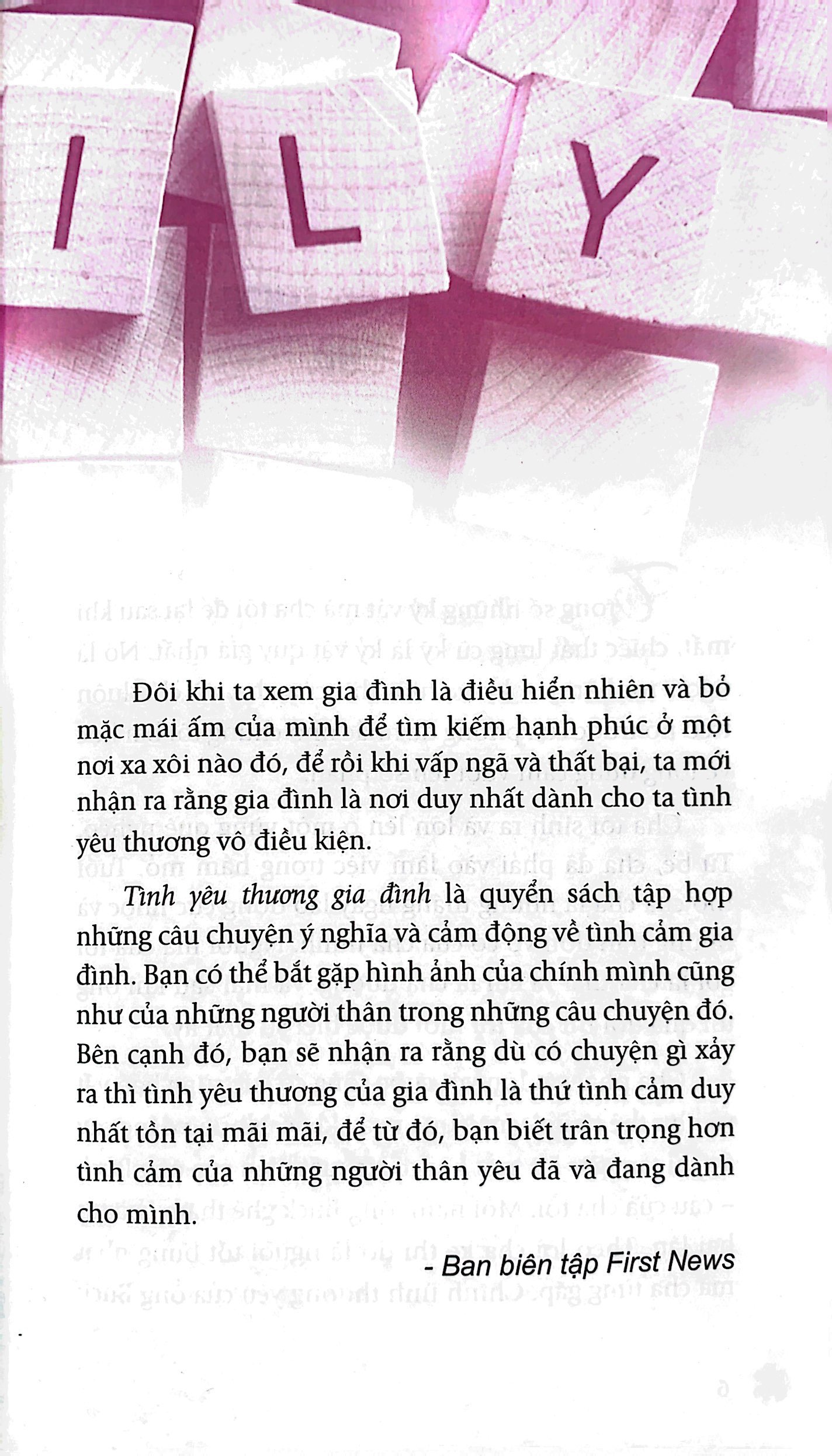 chicken soup for the soul - tình yêu thương gia đình (tái bản) - Ảnh 4
