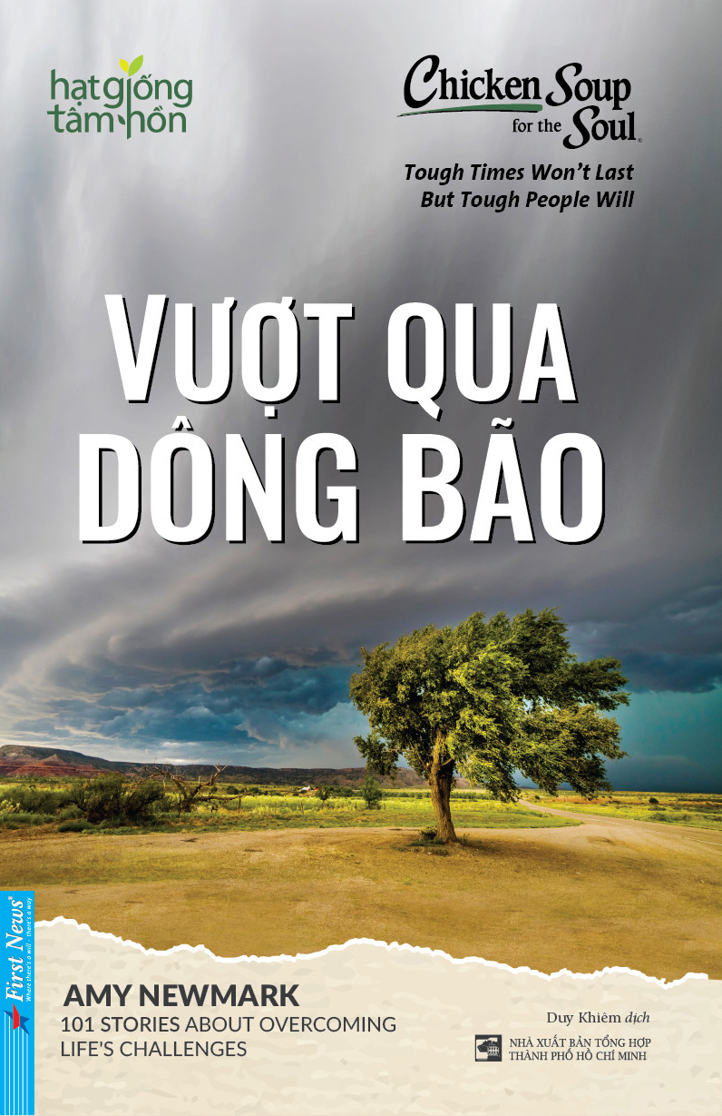 chicken soup for the soul - vượt qua dông bão - Ảnh 2