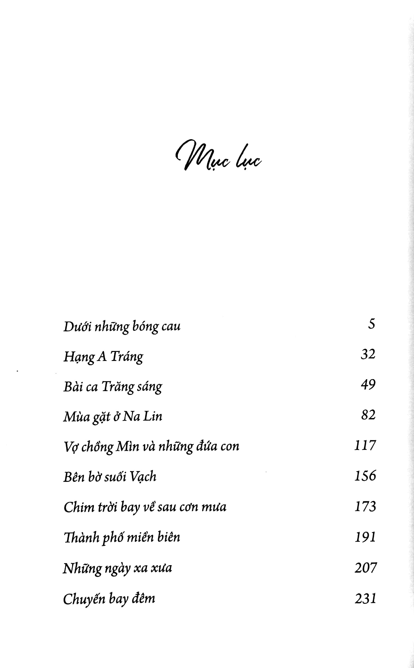 chim trời bay về sau cơn mưa - Ảnh 4
