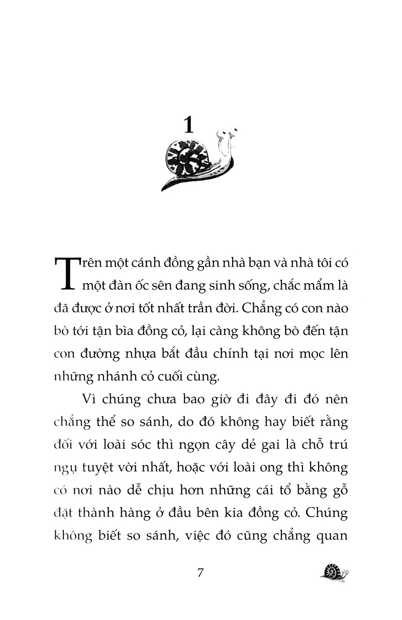 chuyện con ốc sên muốn biết tại sao nó chậm chạp (tái bản 2022) - Ảnh 3
