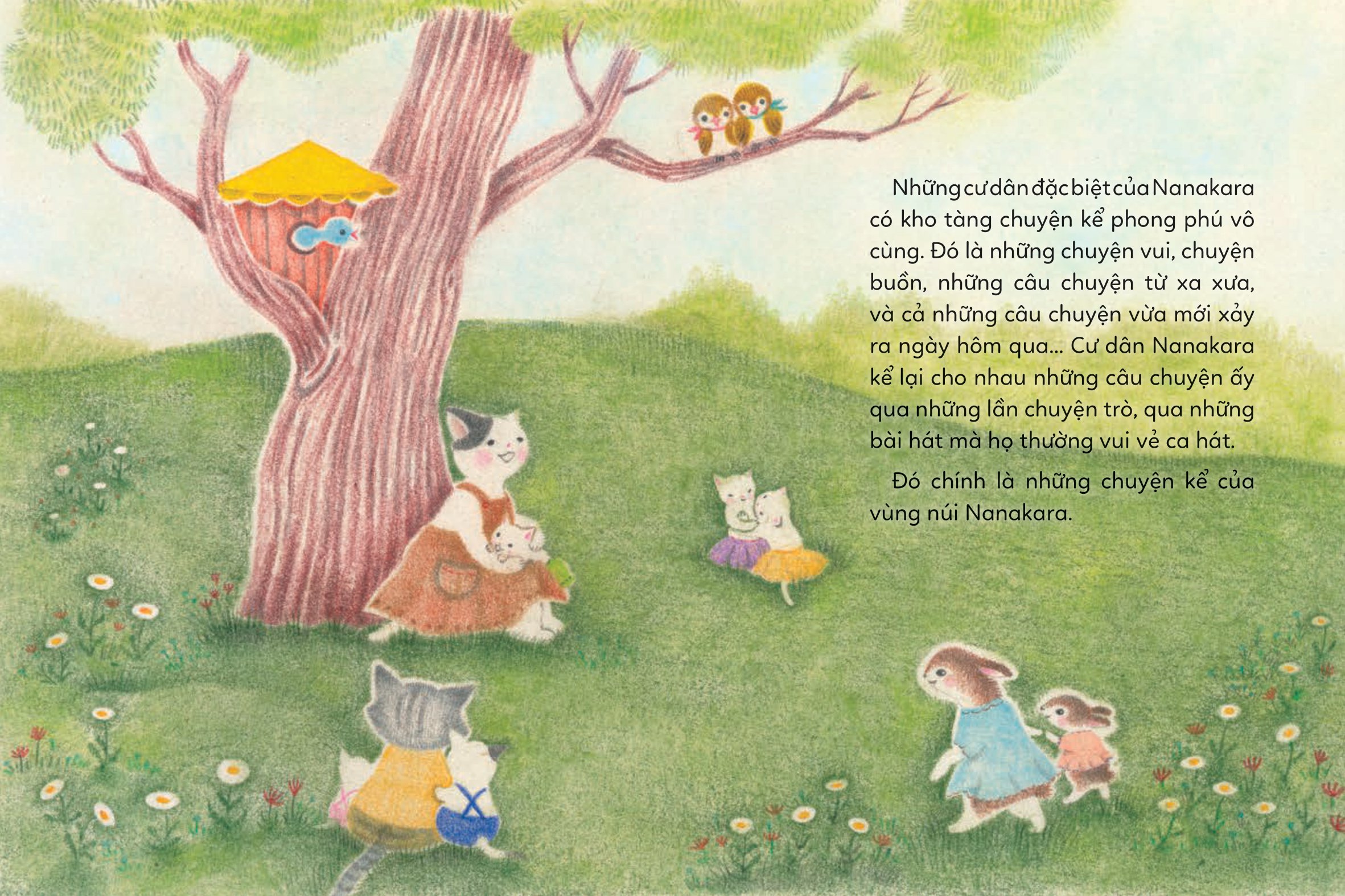 chuyện kể trên núi - bí mật của mèo bố - Ảnh 5
