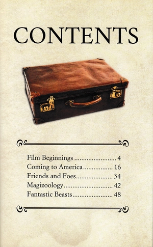 cinematic guide: newt scamander - Ảnh 4