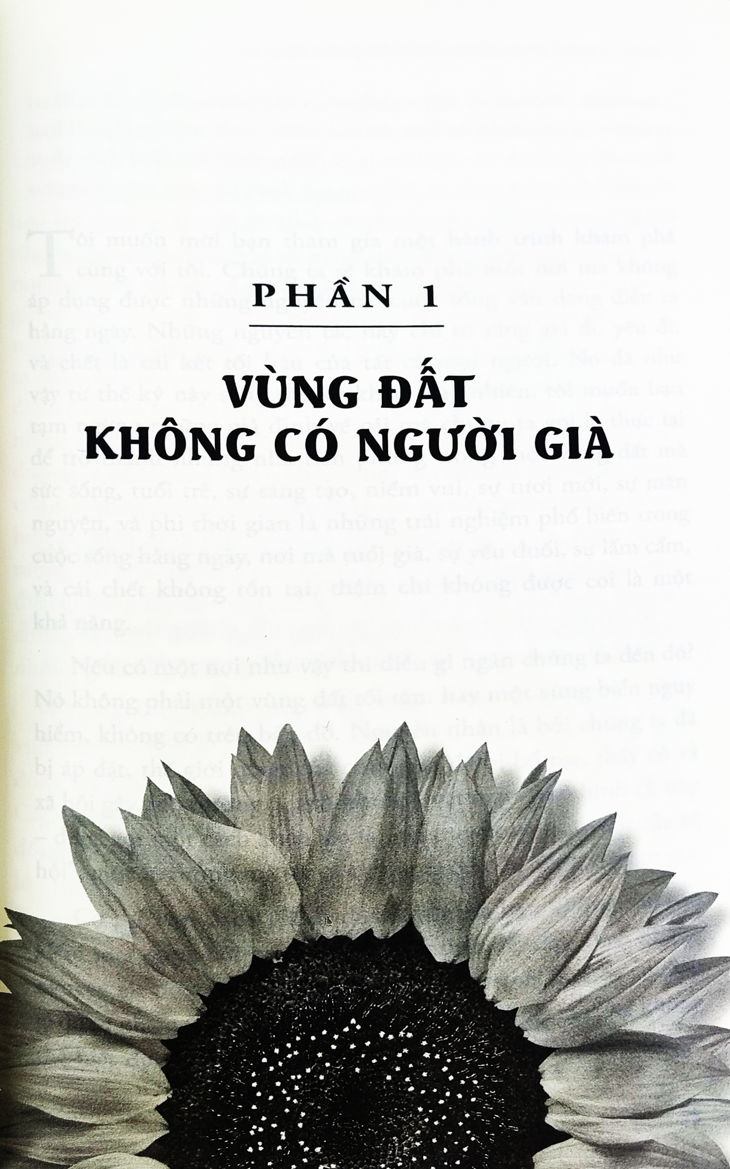 cơ thể phi tuổi tác - tâm trí phi thời gian - Ảnh 3
