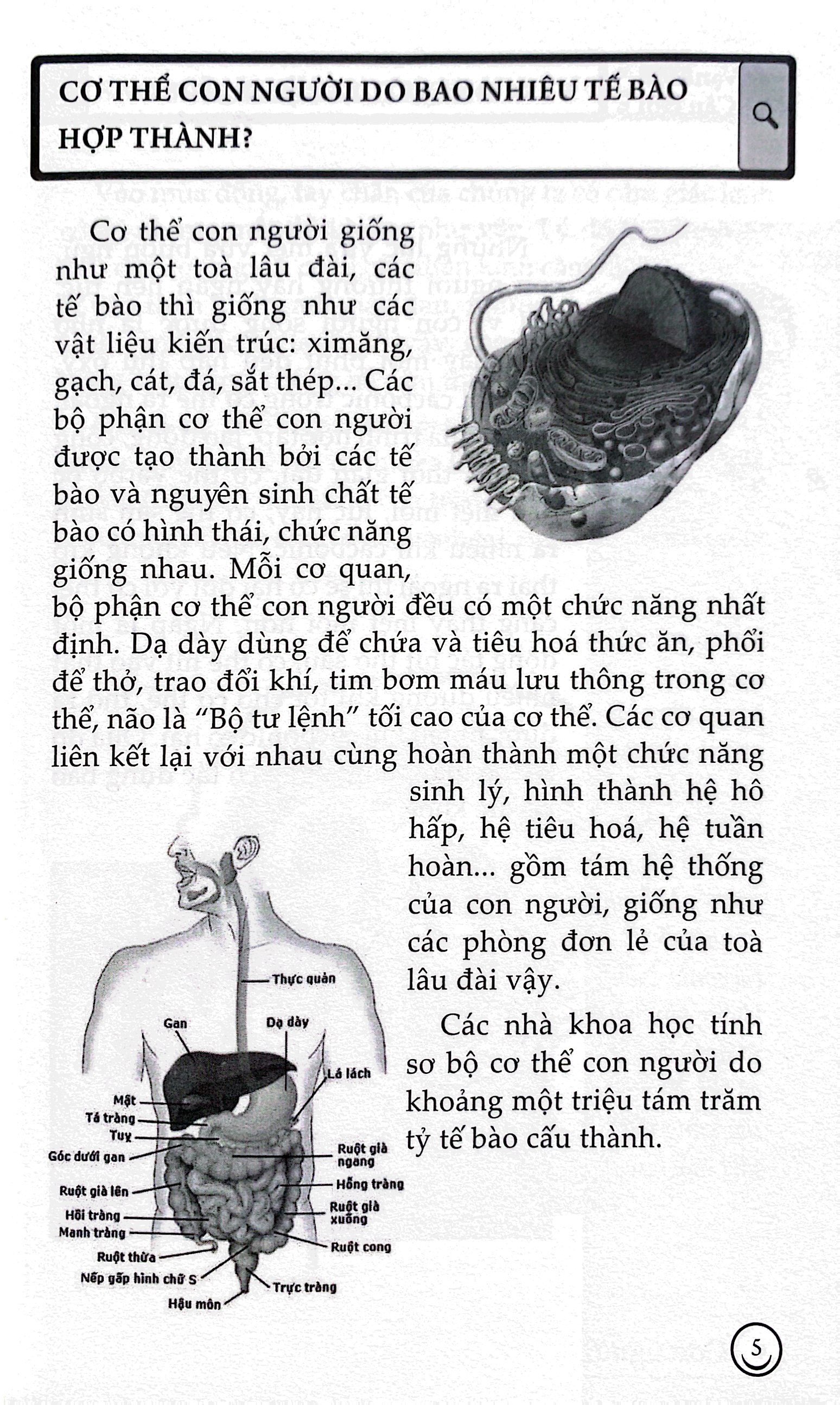 combo sách 10 vạn câu hỏi vì sao? (tái bản 2023) (bộ 5 cuốn) - Ảnh 10