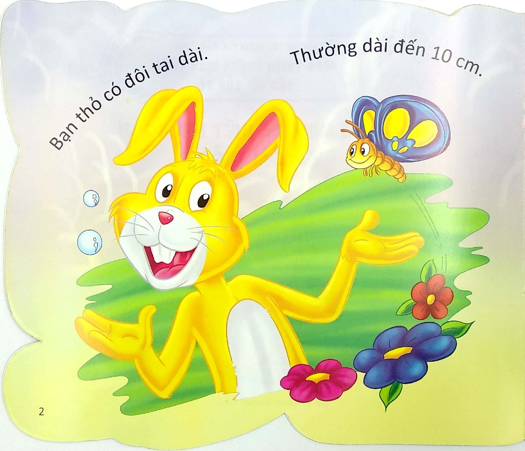 cùng bé yêu khám phá rừng xanh - chúng mình đã biết gì về loài thỏ - Ảnh 4