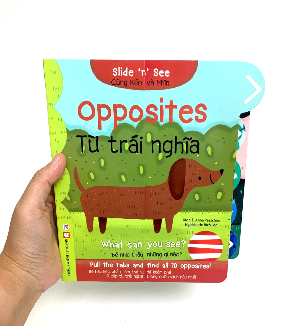 cùng kéo và nhìn: opposites - từ trái nghĩa - Ảnh 7