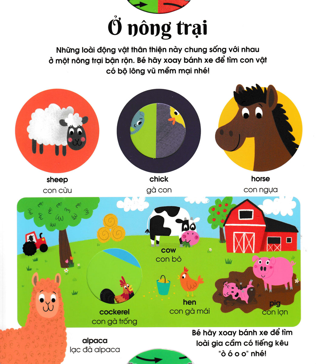 Cuốn Sách Đầu Tiên Của Bé - Động Vật (Dành Cho Bé Từ 3-5 Tuổi) - Ảnh 3
