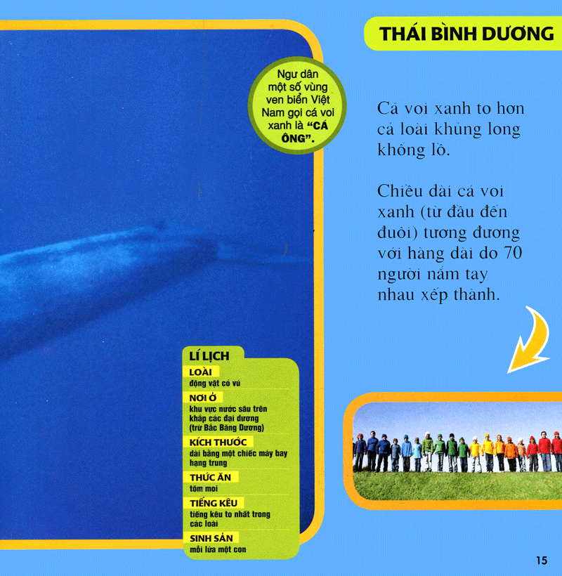 cuốn sách lớn đầu tiên của tớ - đại dương - bìa cứng (tái bản 2024) - Ảnh 12