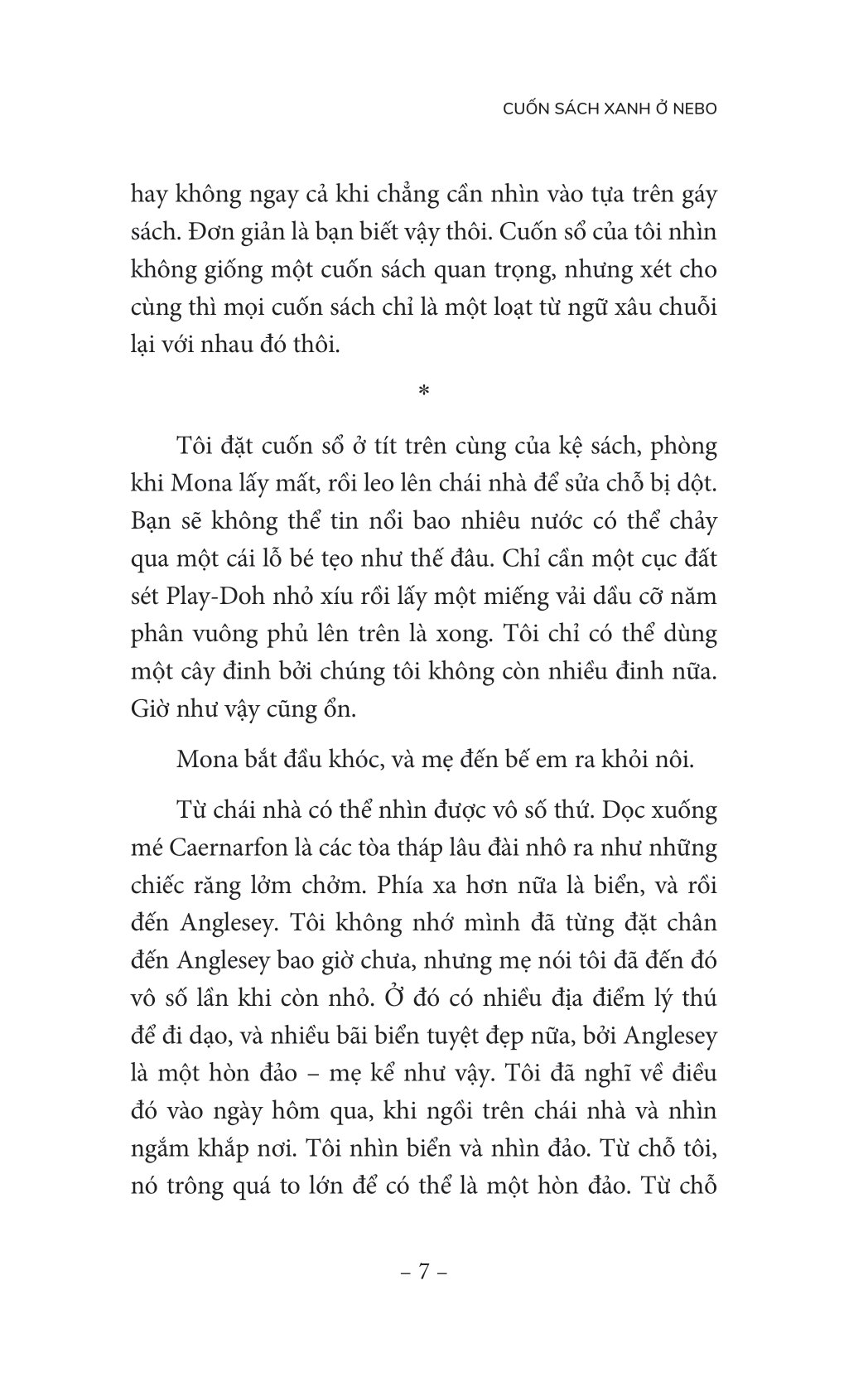 cuốn sách xanh ở nebo - một câu chuyện làm tan vỡ trái tim nhưng cũng sẽ chữa lành nó - Ảnh 6
