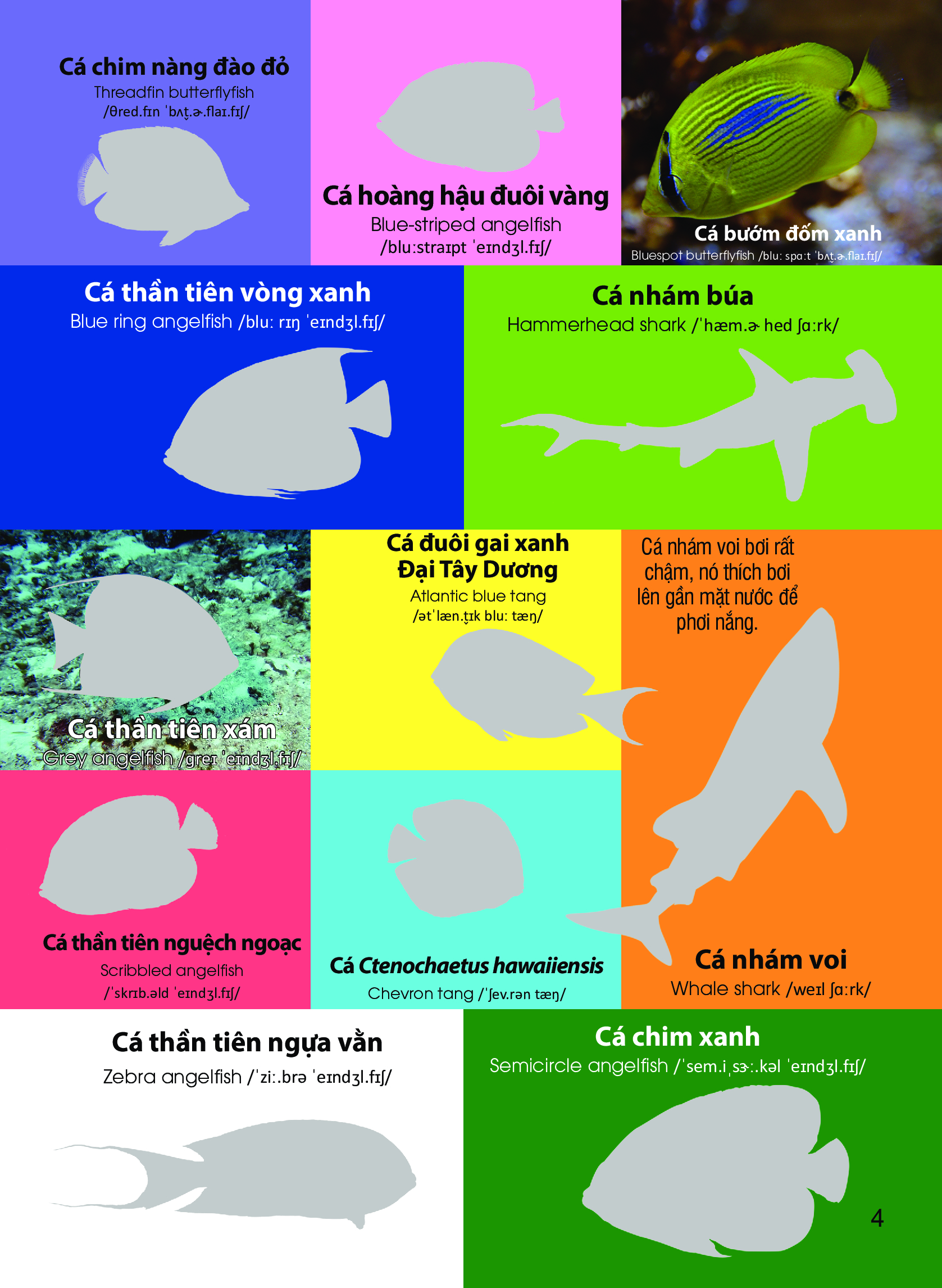 dán hình nhận biết động vật - động vật biển (song ngữ việt-anh) - Ảnh 5