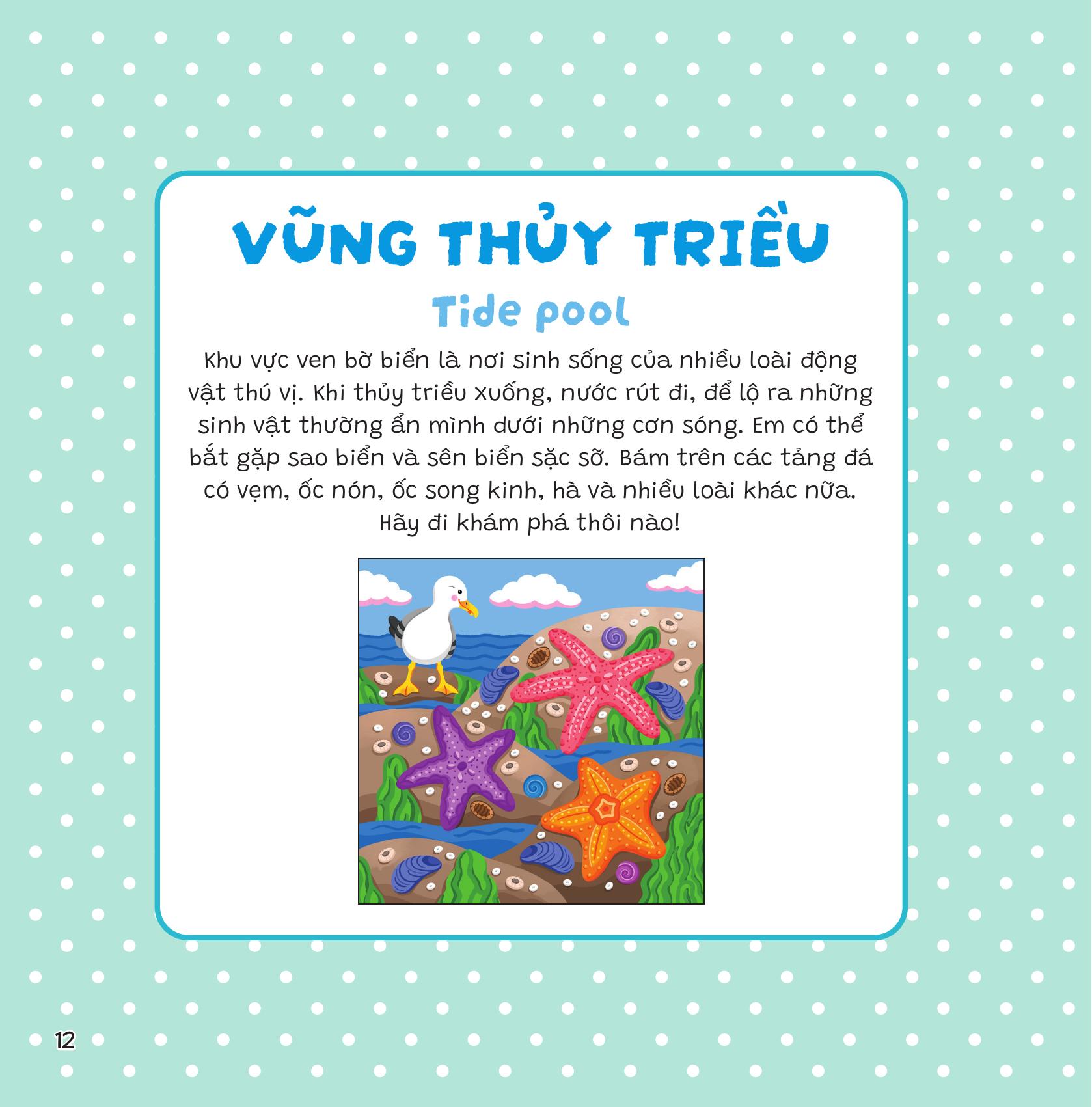 Dán Khéo Tay, Hiện Hình Ngay! - Đại Dương - Ảnh 25
