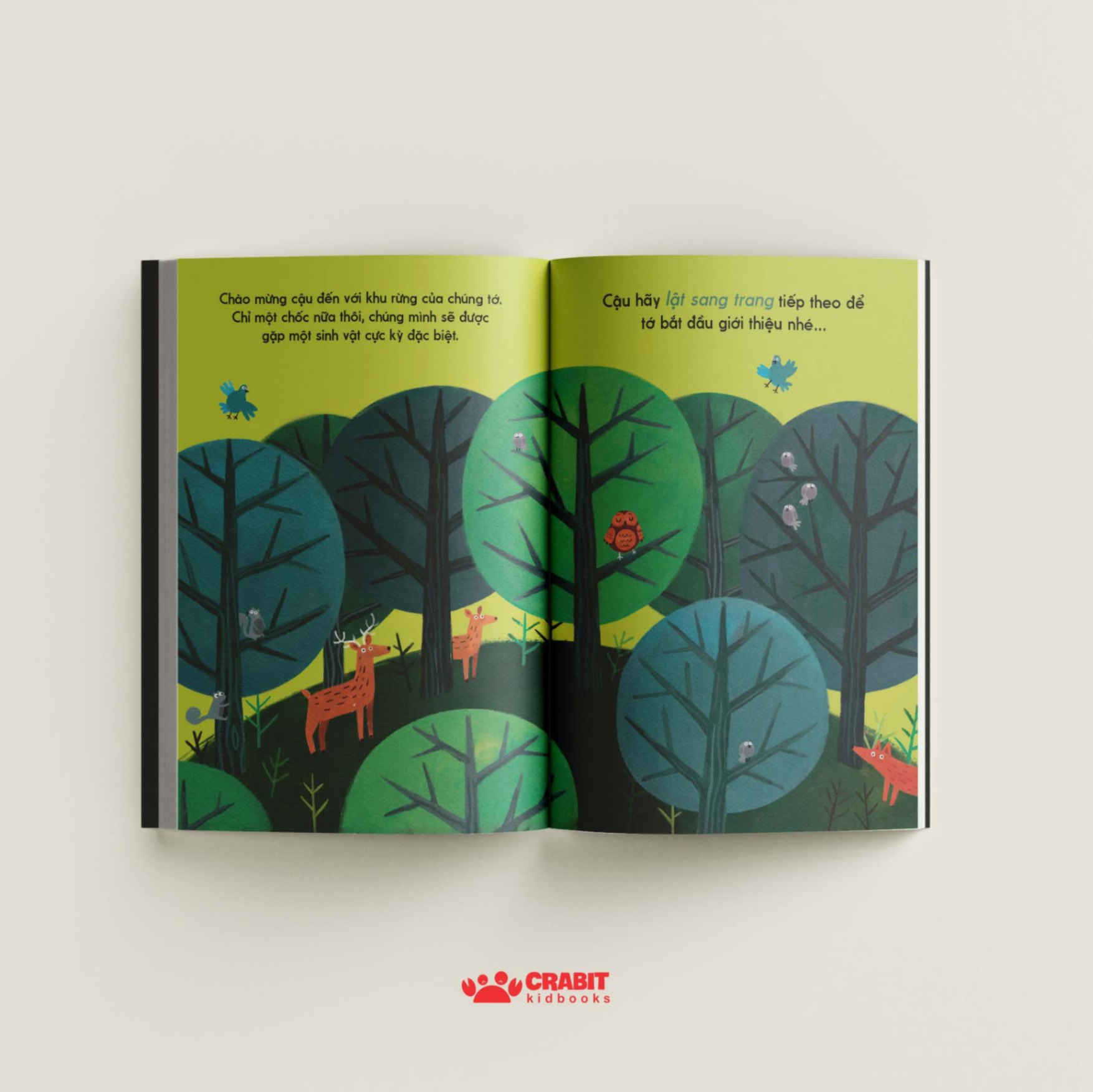 đây là cú nâu - bìa cứng - Ảnh 7