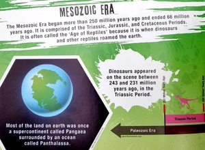 dinosaur attack- jigsaw puzzle and fact book (500 pieces) - Ảnh 17