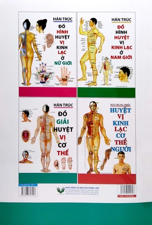 đồ giải huyệt vị cơ thể - Ảnh 6