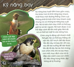 độc, lạ, phi thường - kỹ năng tuyệt đỉnh - Ảnh 6