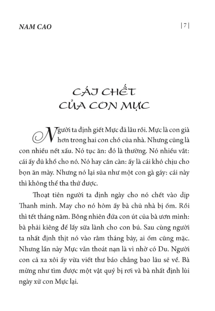 đời thừa (tái bản) - Ảnh 5