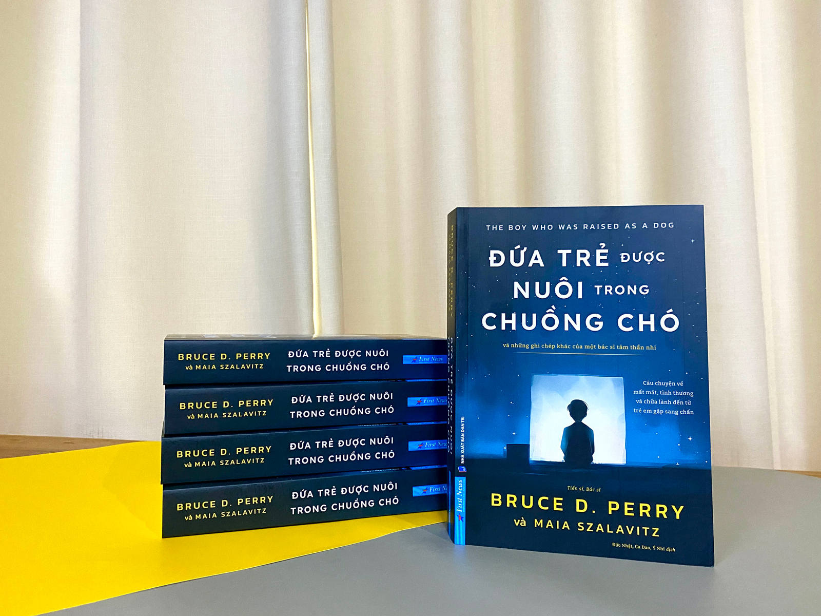 đứa trẻ được nuôi trong chuồng chó - và những ghi chép khác của một bác sĩ tâm thần nhi - Ảnh 4
