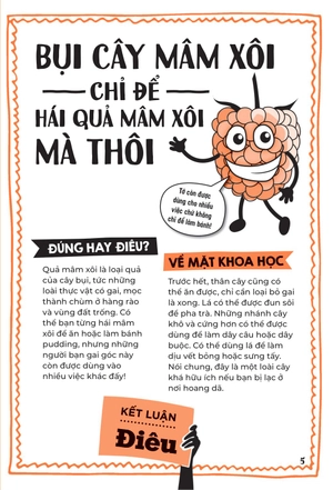 đúng hay điêu - sự thật về các kĩ năng sinh tồn - Ảnh 6