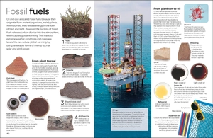 eyewitness - fossil - Ảnh 5