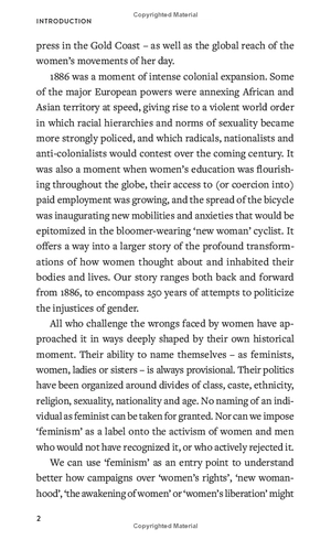 feminisms: a global history - Ảnh 7