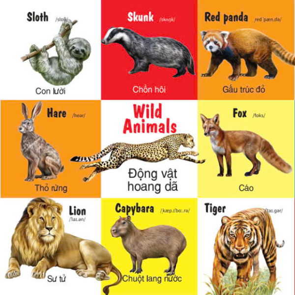 first 100 animals - 100 từ đầu tiên về các loại động vật - Ảnh 4