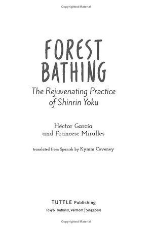 forest bathing: the rejuvenating practice of shinrin yoku - Ảnh 3