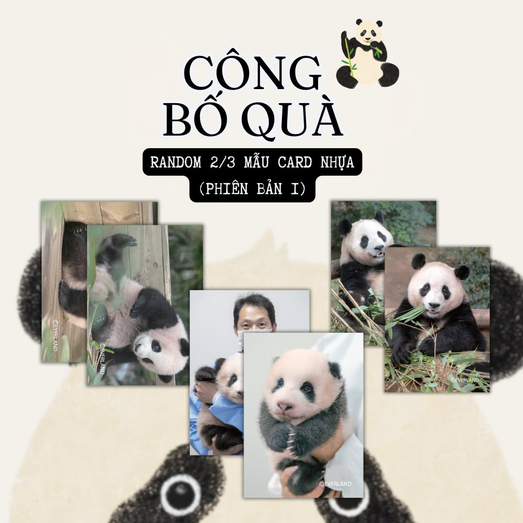 fubao toàn trí - bản đặc biệt - tặng kèm 1 bookmark bế bồi cứng + 1 postcard bồi cứng + 2 card nhựa bo góc random 2 trong 3 mẫu + 1 túi tote - Ảnh 4