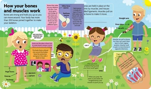 funfacts - lift the flap board book - discover the human body - Ảnh 4