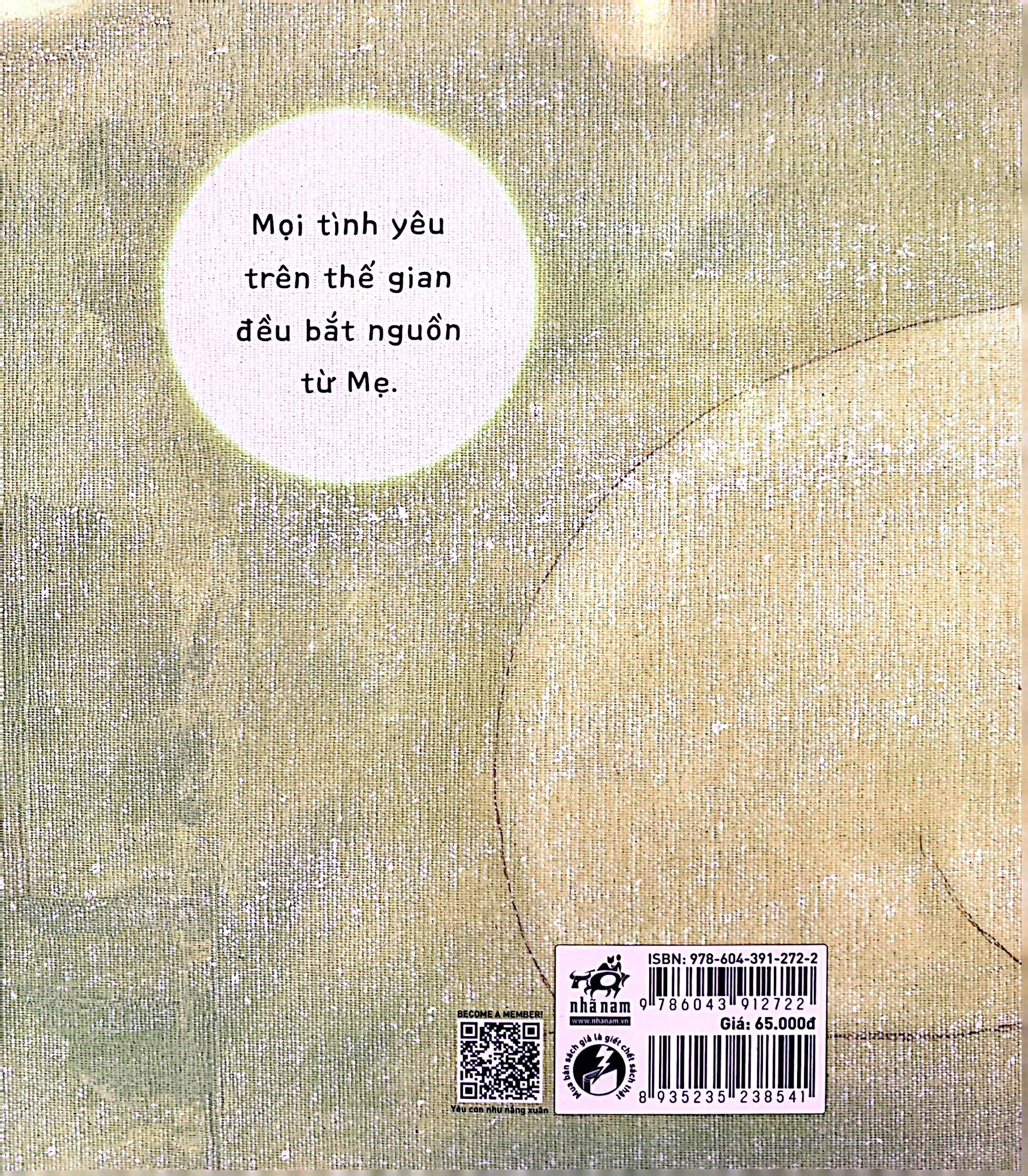 gấu koda - cái mũi đen - Ảnh 7