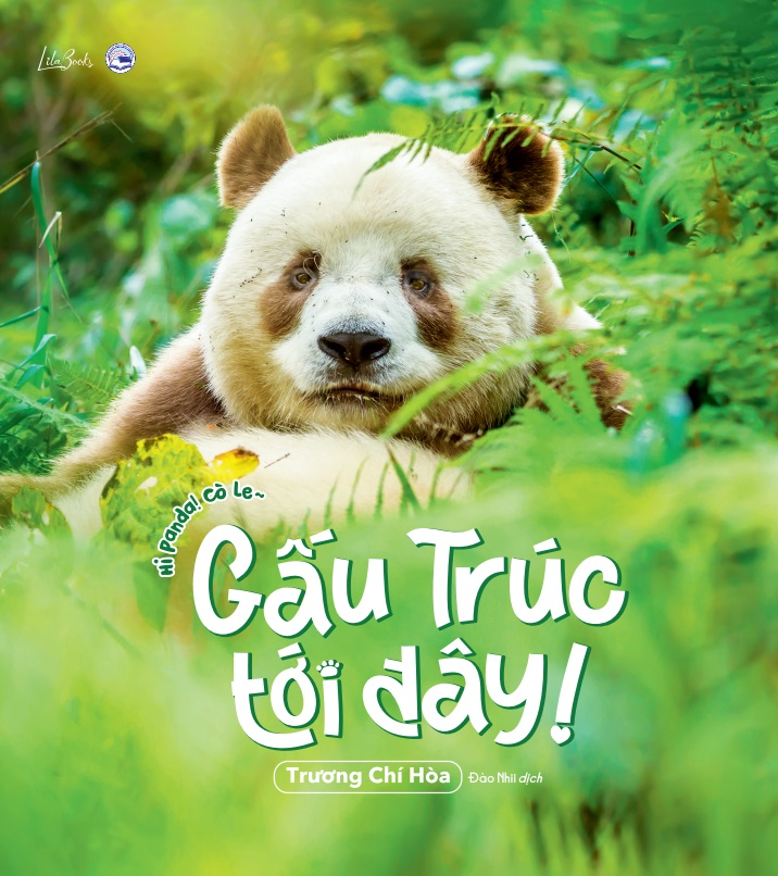 gấu trúc tới đây! - hi panda! cò le~ - tặng kèm 1 khung ảnh + 4 postcard hai mặt + 1 sticker gia tộc gấu trúc - Ảnh 2
