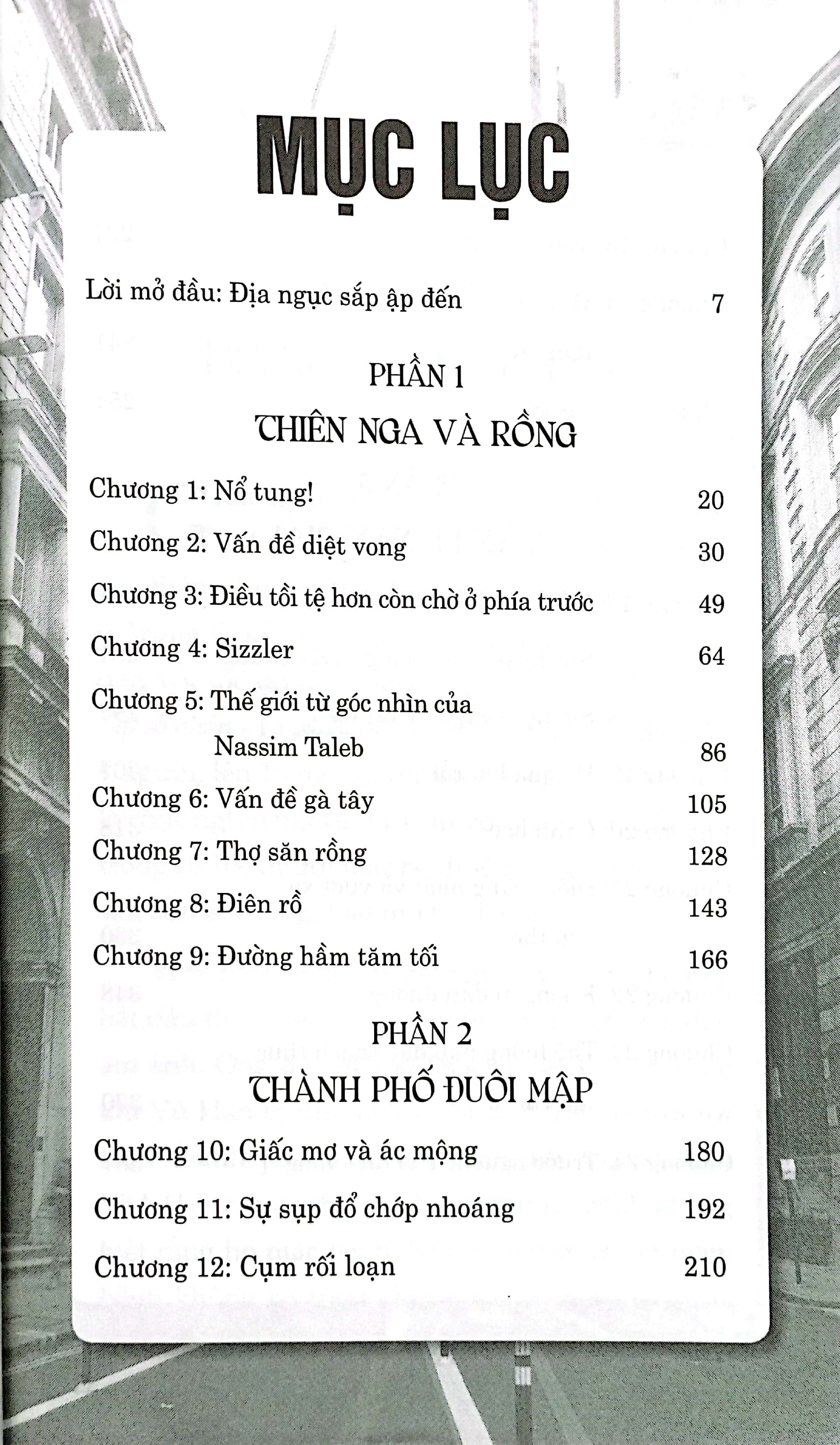 giao dịch thiên nga đen - Ảnh 4