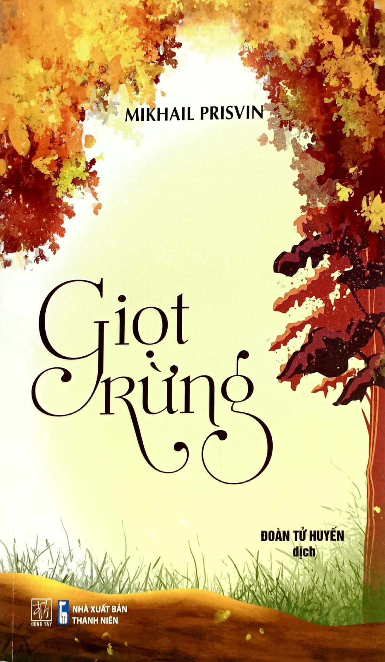giọt rừng - Ảnh 2
