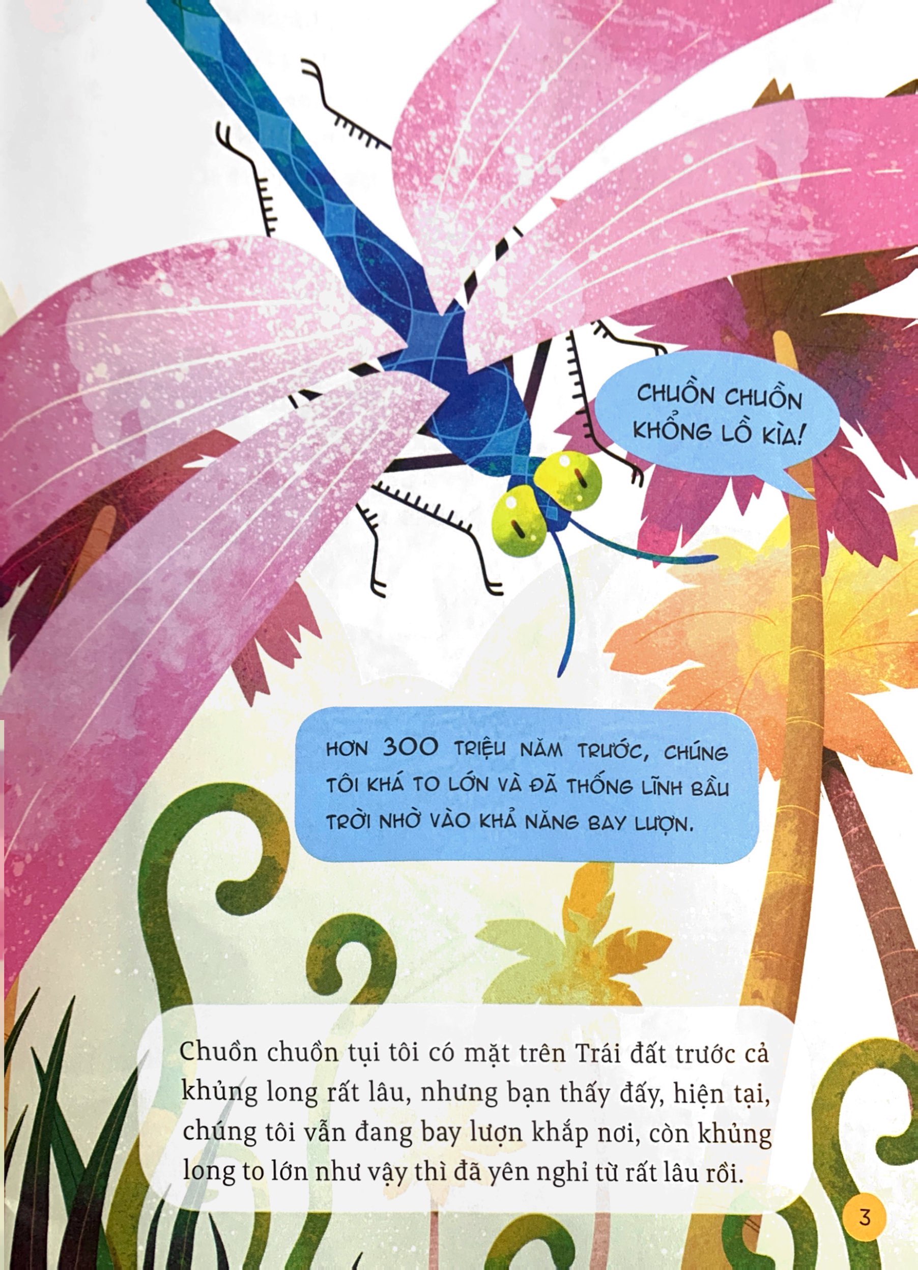 hành trình khám phá - đôi cánh chuồn chuồn - Ảnh 5
