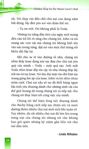 hạt giống tâm hồn - thiên nhiên liều thuốc nhiệm màu - Ảnh 11