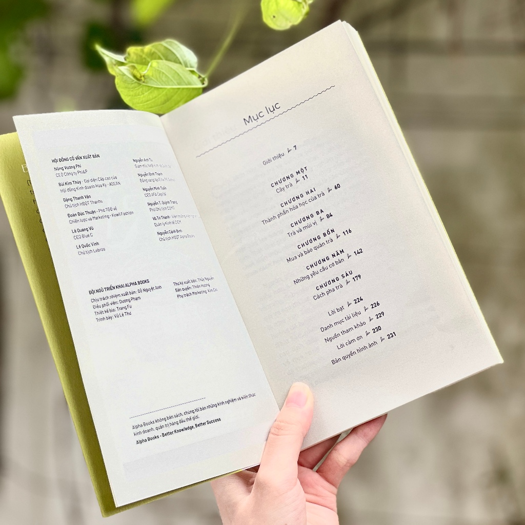 hiểu hết về trà - Ảnh 4