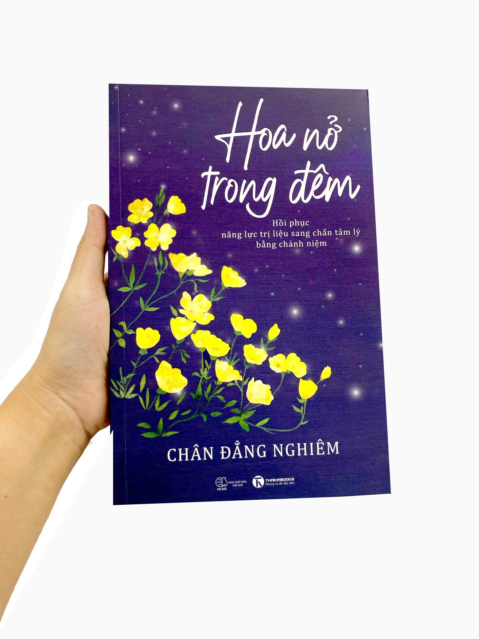 hoa nở trong đêm - Ảnh 17