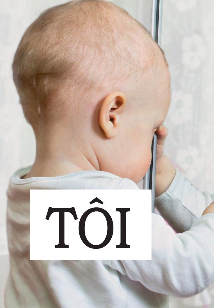 học tự vựng tiếng anh qua hình và ví dụ minh họa - Ảnh 10