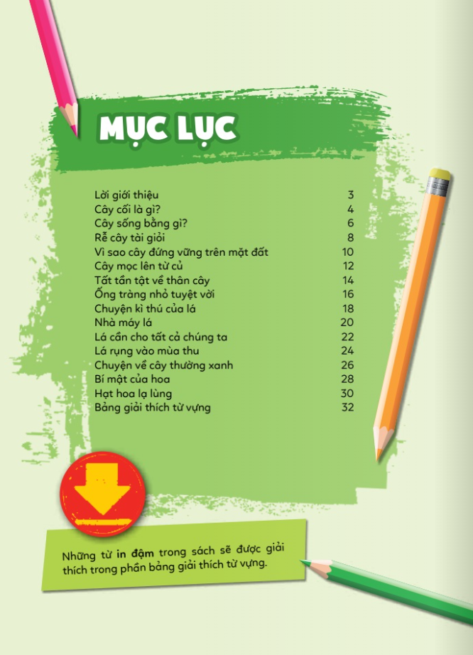 học vui hiểu rộng biết nhiều - cây cối diệu kì - Ảnh 3