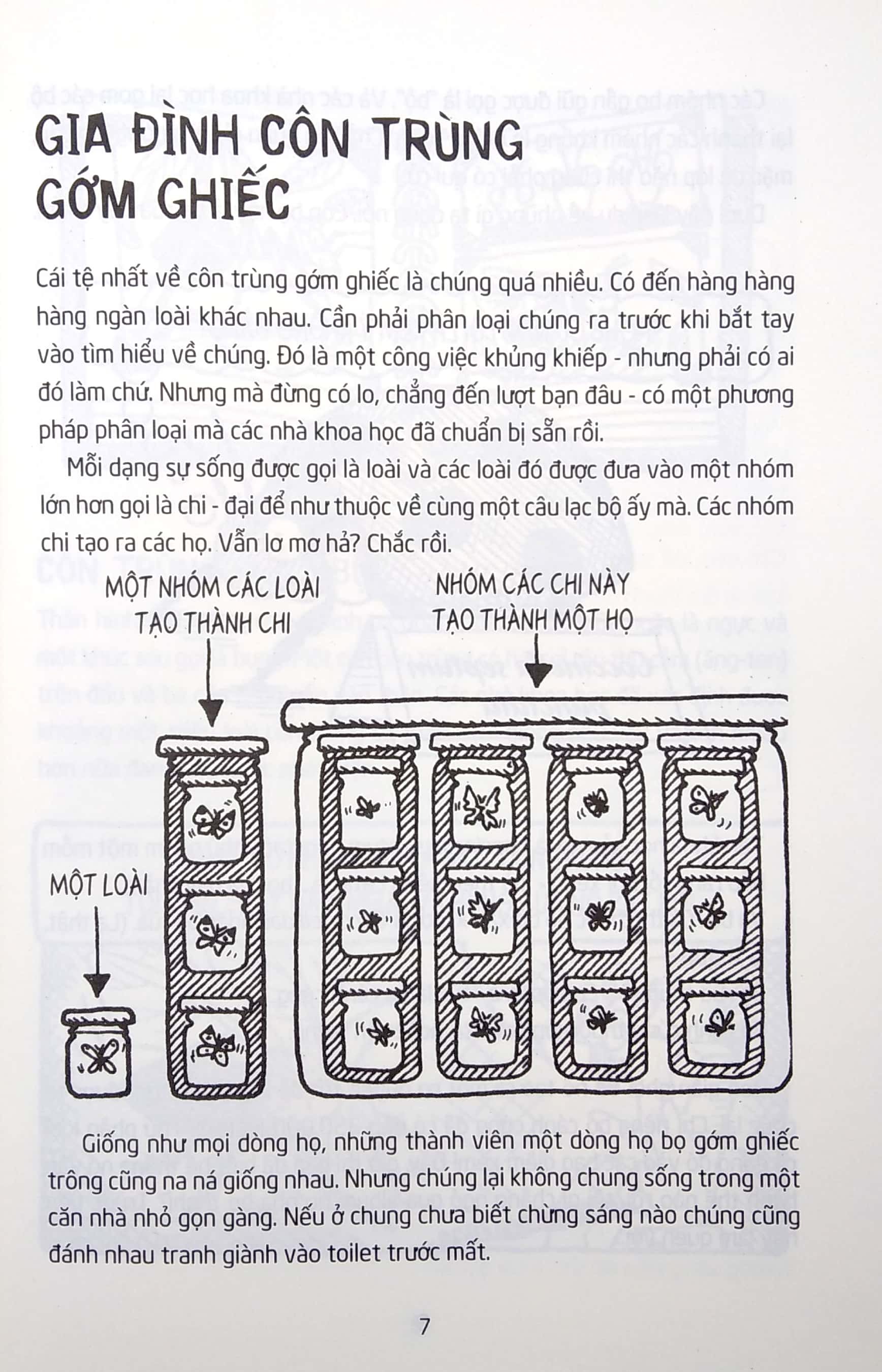 horrible science - côn trùng gớm ghiếc - Ảnh 6