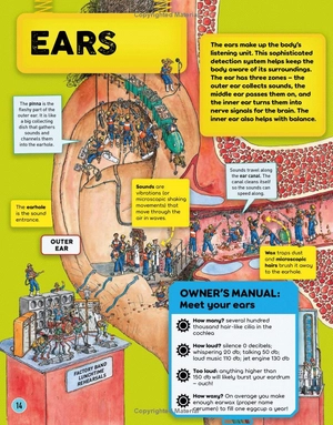 human body factory - a guide to your insides - Ảnh 11