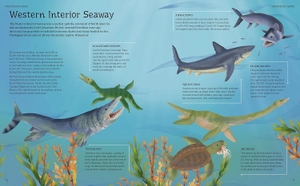 illustrated encyclopedia of dinosaurs - Ảnh 3
