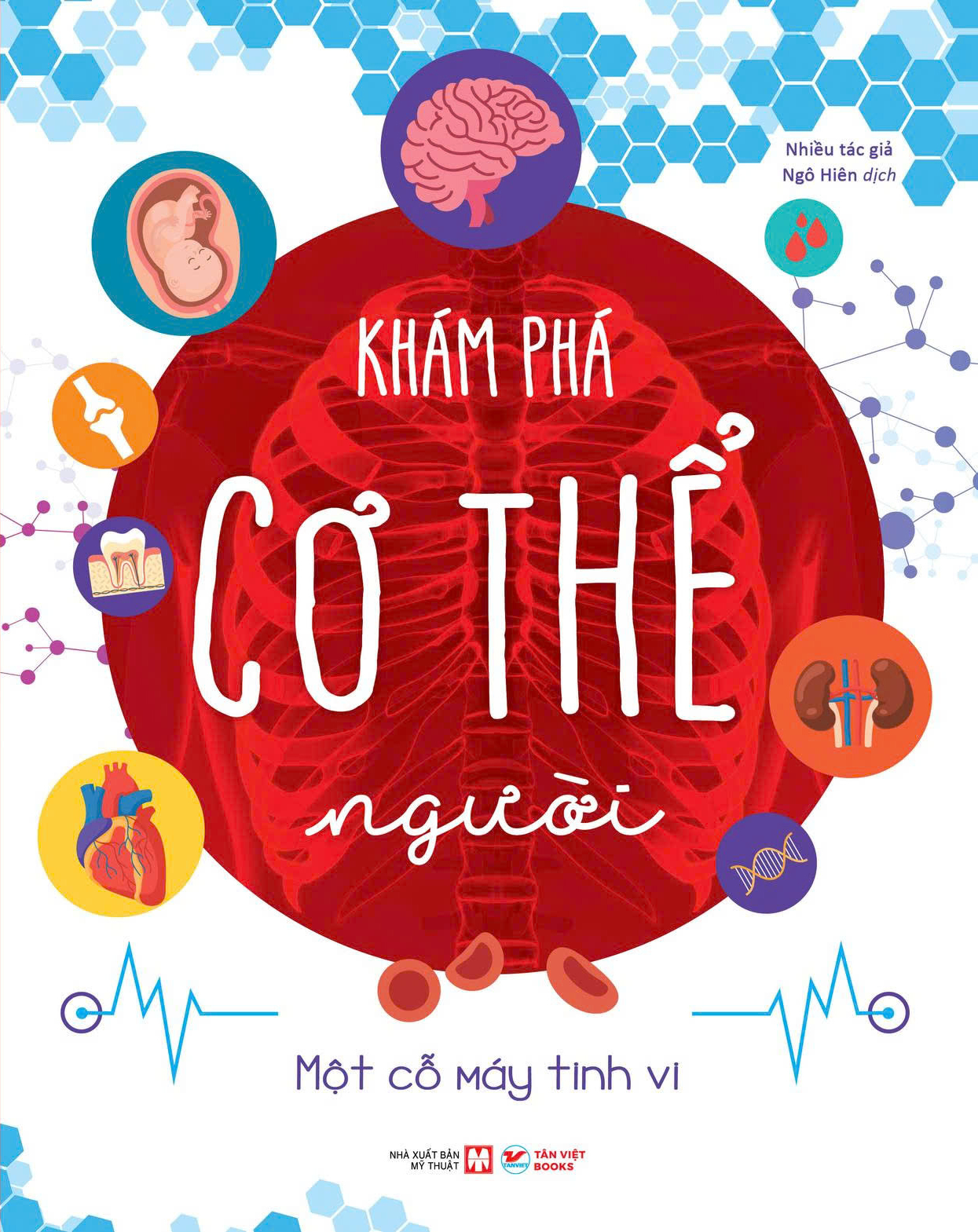 Khám Phá Cơ Thể Người - Một Cỗ Máy Tinh Vi - Ảnh 2
