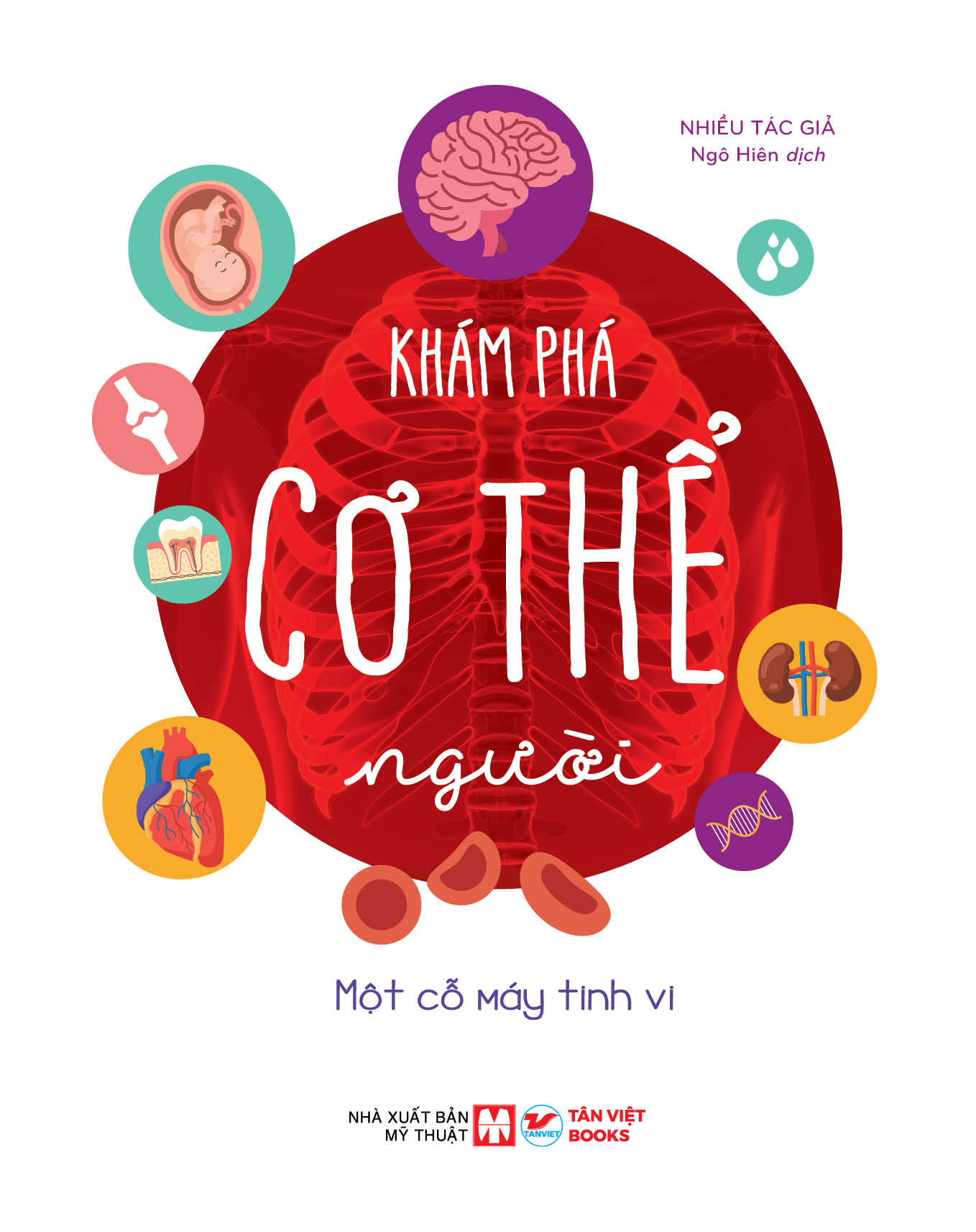 Khám Phá Cơ Thể Người - Một Cỗ Máy Tinh Vi - Ảnh 3