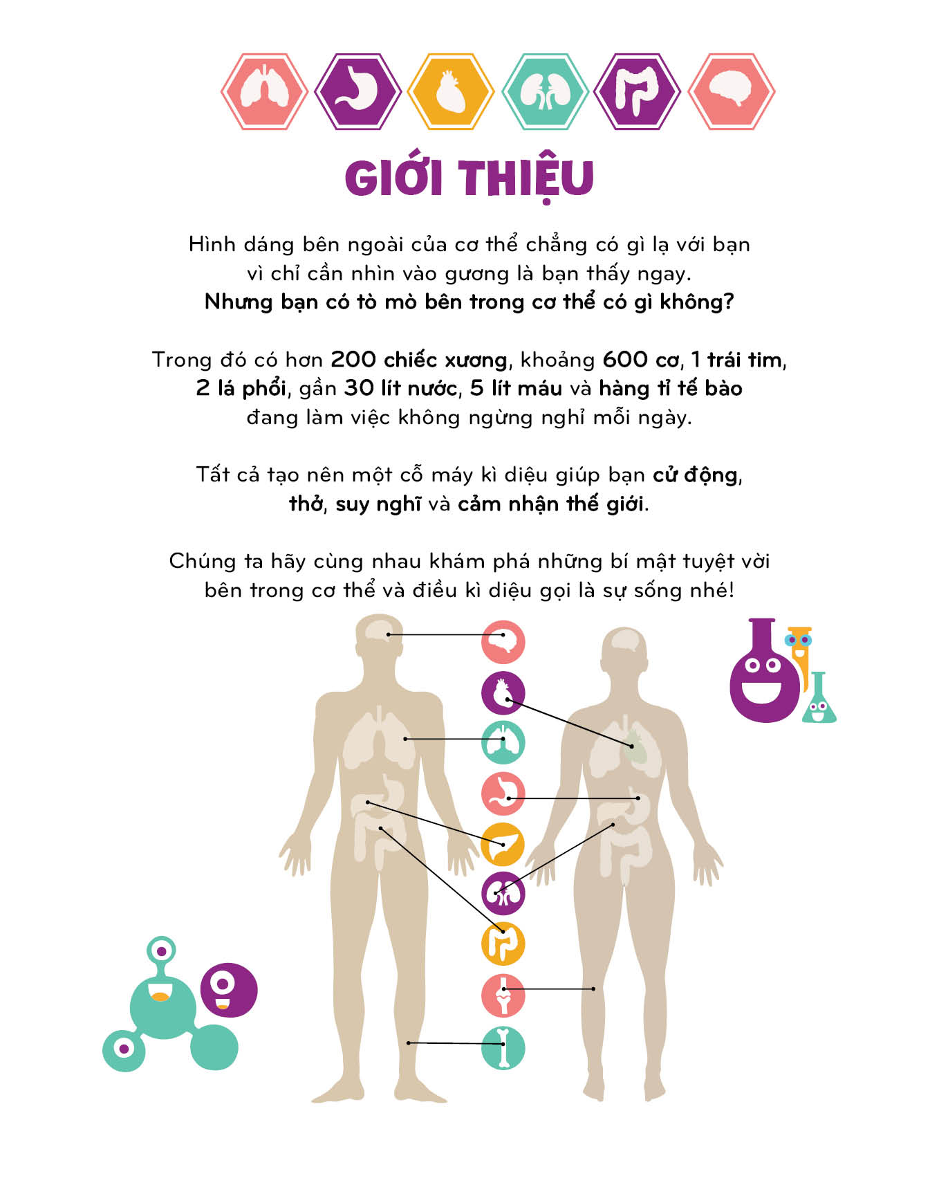 Khám Phá Cơ Thể Người - Một Cỗ Máy Tinh Vi - Ảnh 5