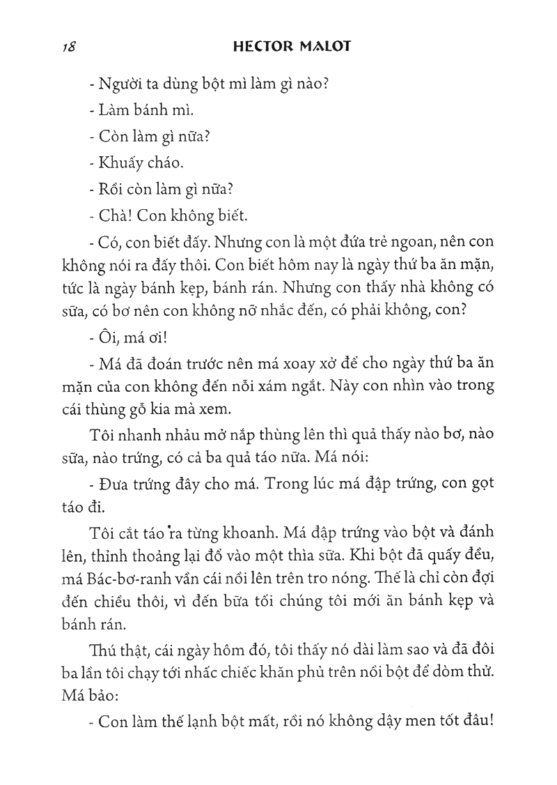 không gia đình - bìa cứng - Ảnh 12