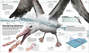 knowledge encyclopedia ocean!: our watery world as you've never seen it before - Ảnh 4