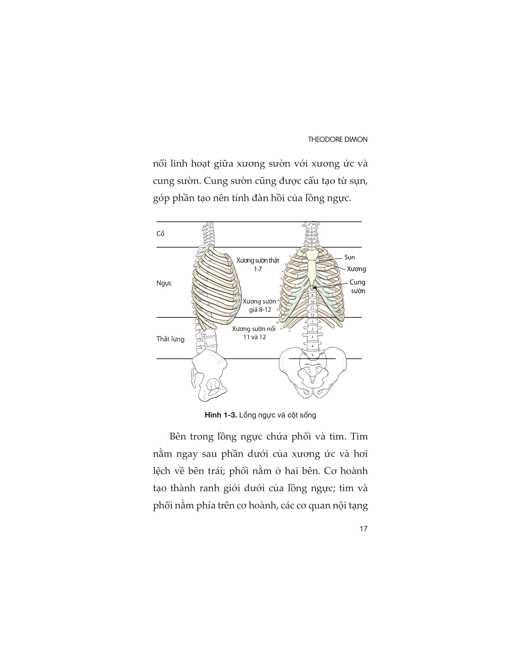 kỹ thuật giọng nói - Ảnh 10